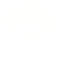LANN